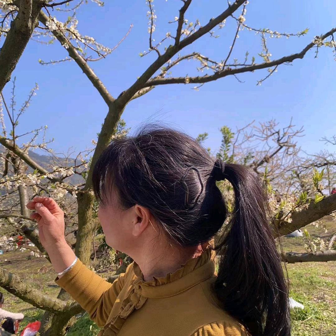 小天鹅姐姐