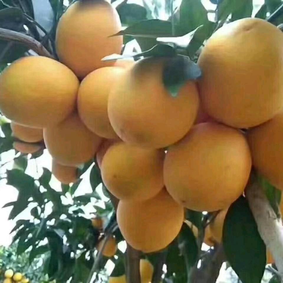 常来聊聊