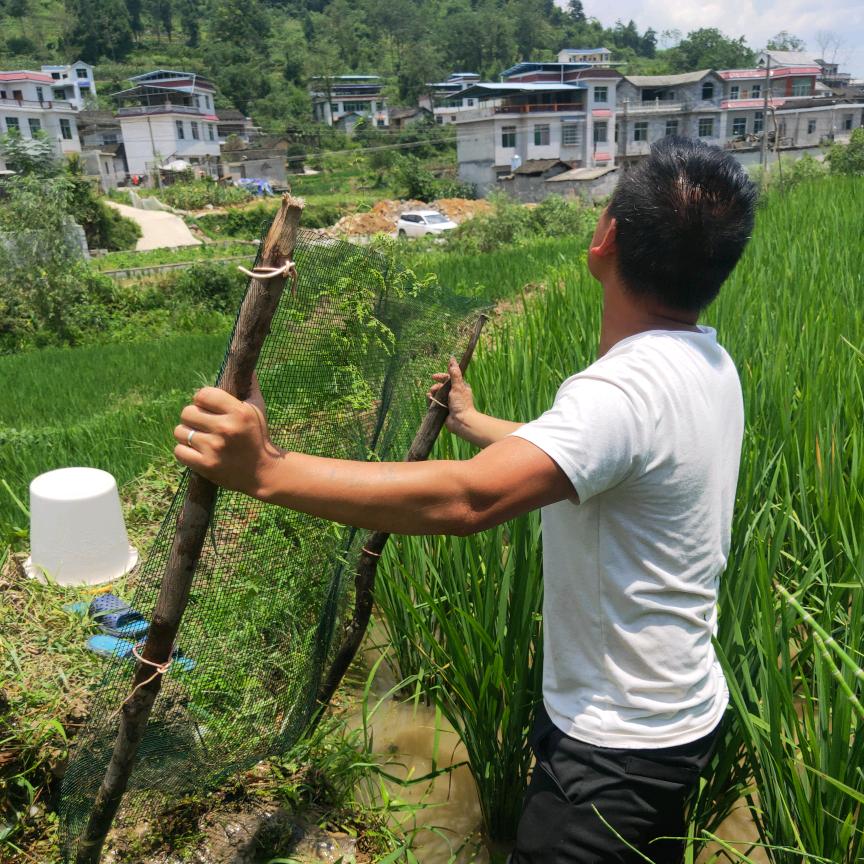 ࿐ོ終ஆོ 識༣จุ๊บ梦༂࿐