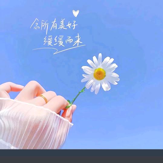 默