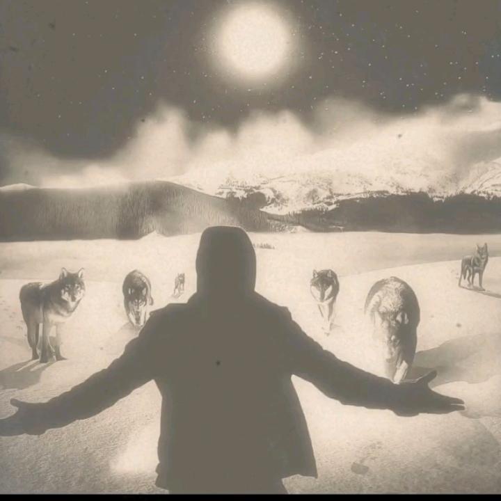 ༼孤狼🐺只能是🐺༽