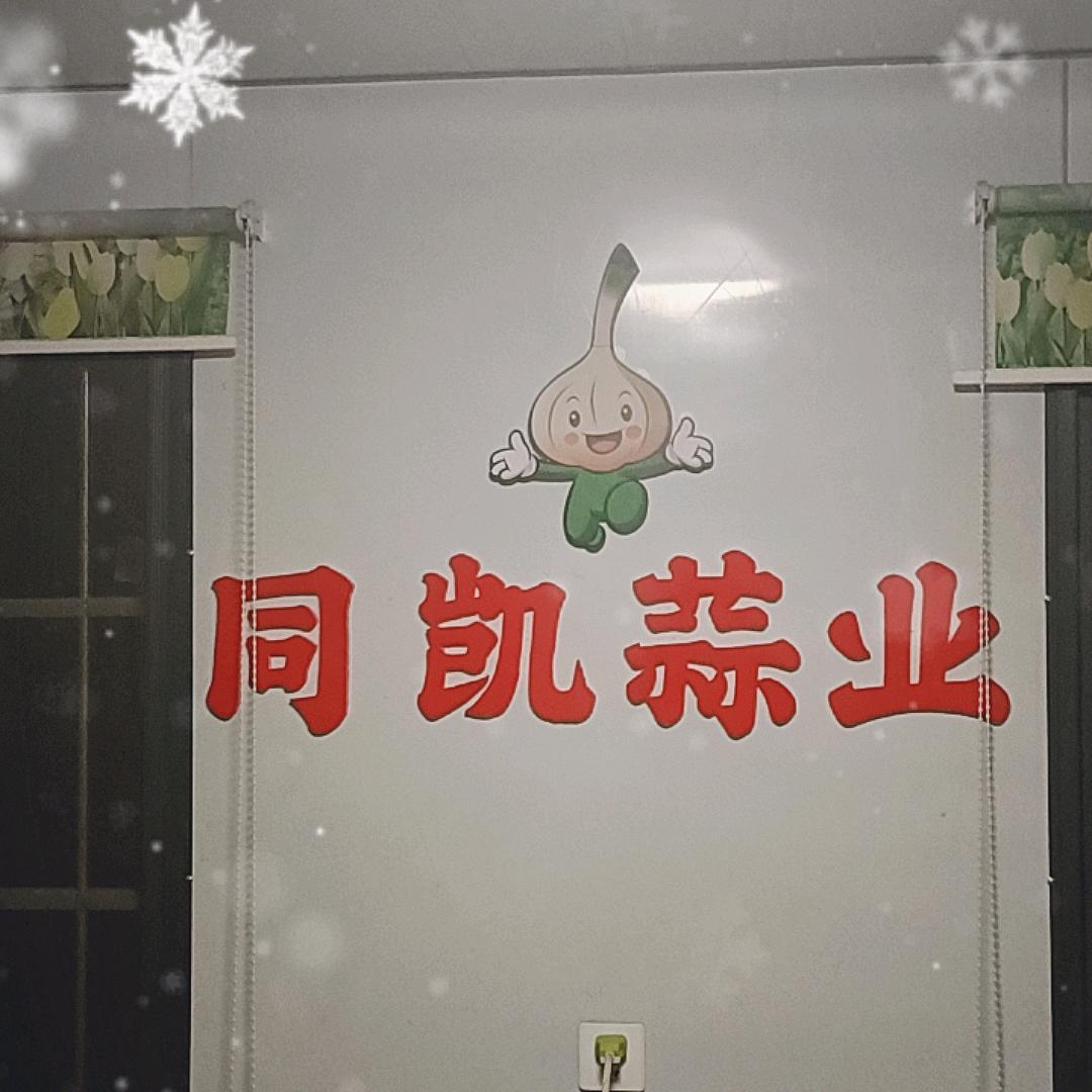 白桥同凯大蒜种植专业合作社