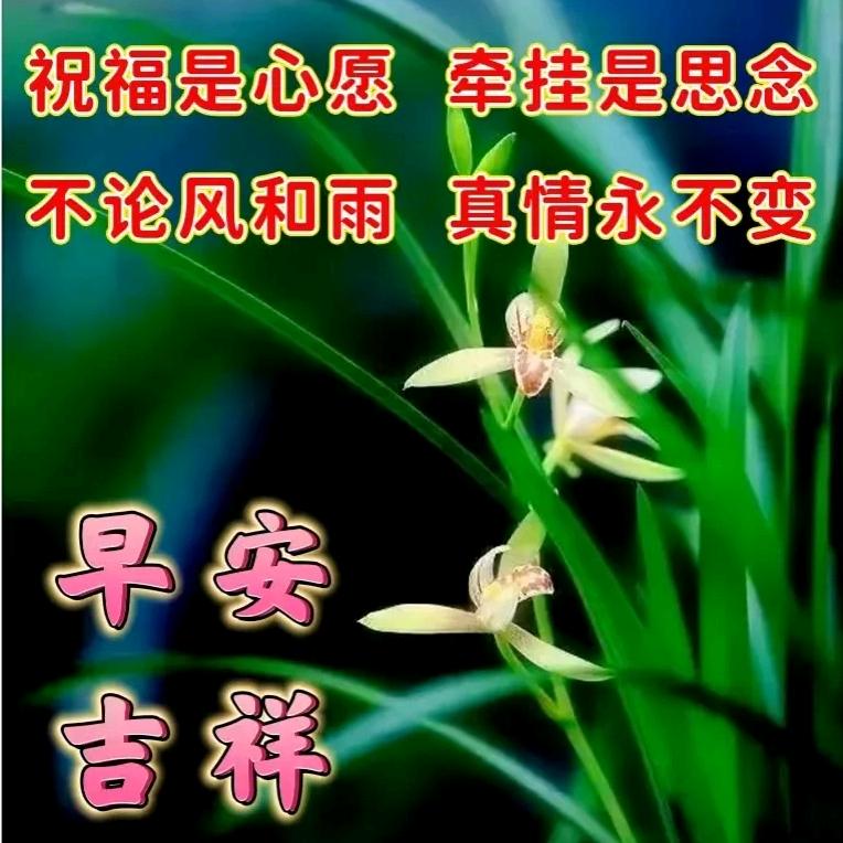 用户8892570968094