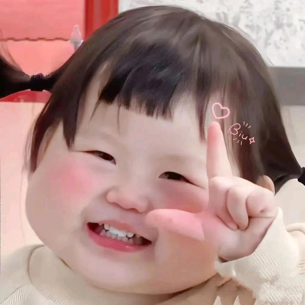 理路呀
