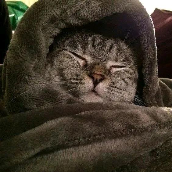 护腰使者芭芭拉