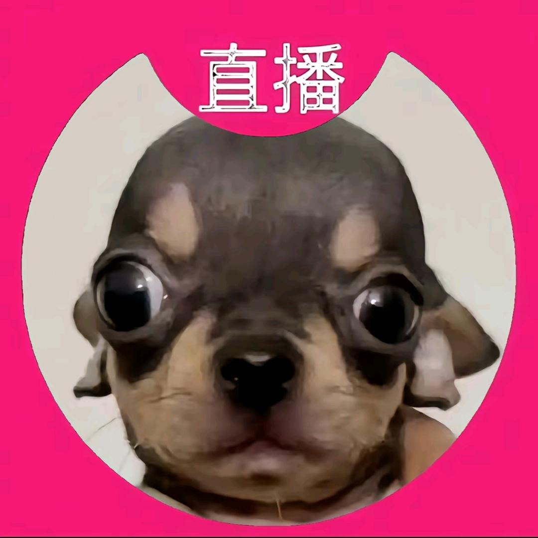 别做白日梦了