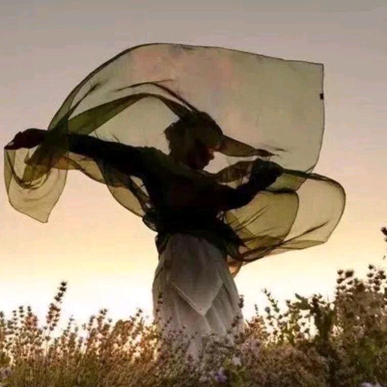沧海拾贝ღ.🦅