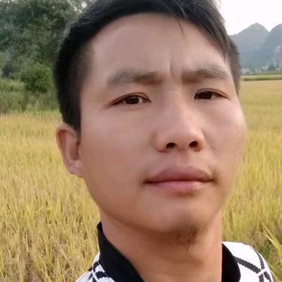 织金王哥