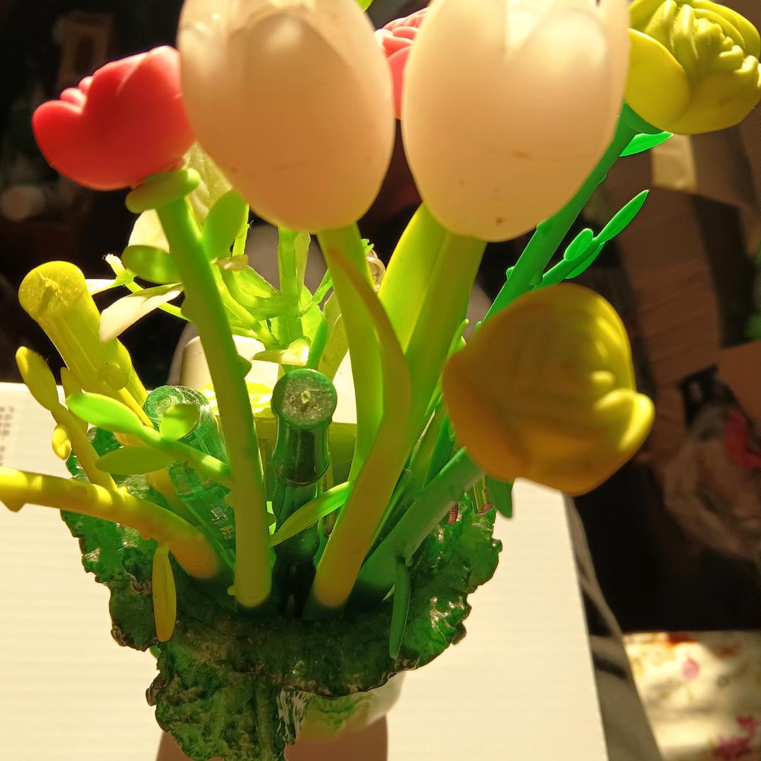 春天的花花草草