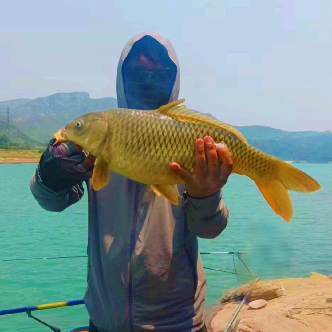 岭你趣钓鱼