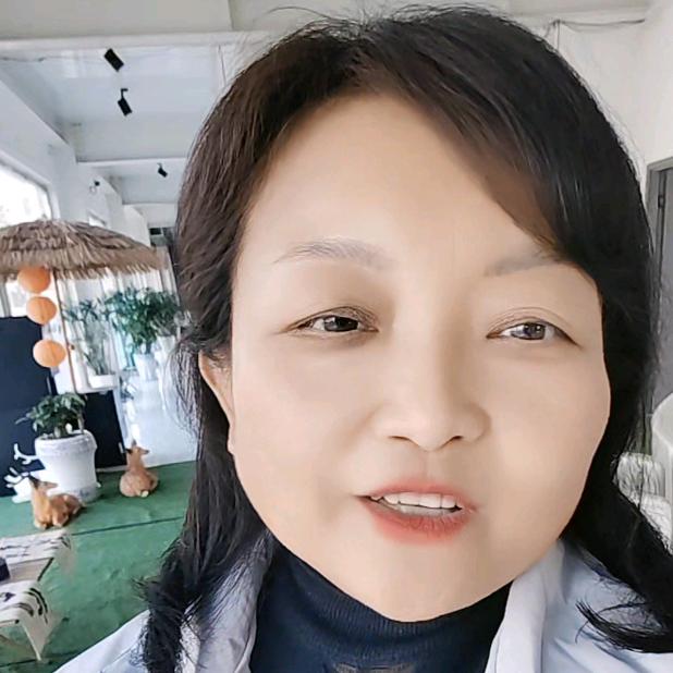 杨～比亚迪全系