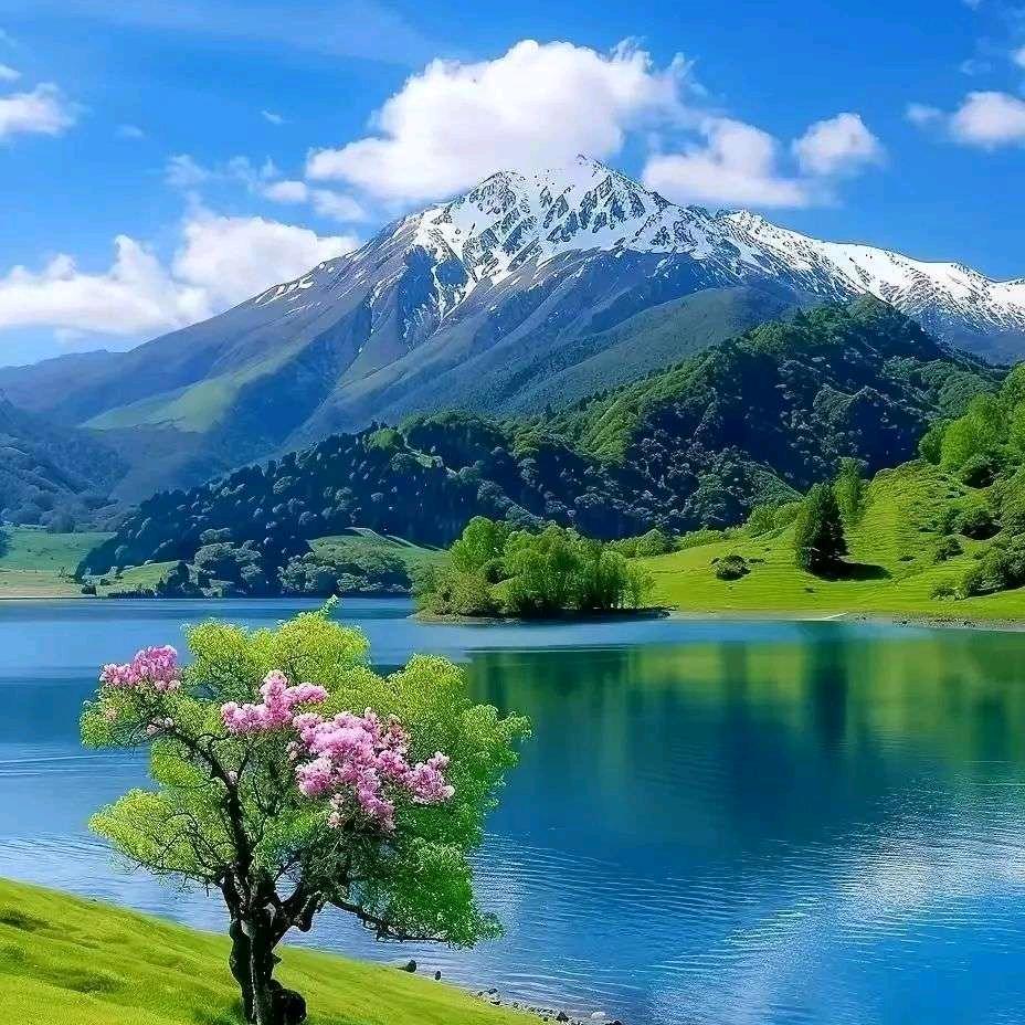 心静如水🍏🍇🍎