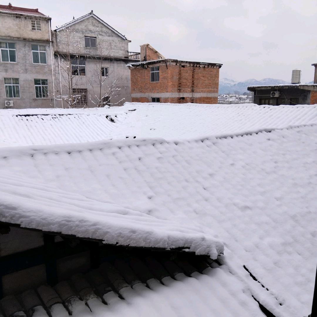 下次再说