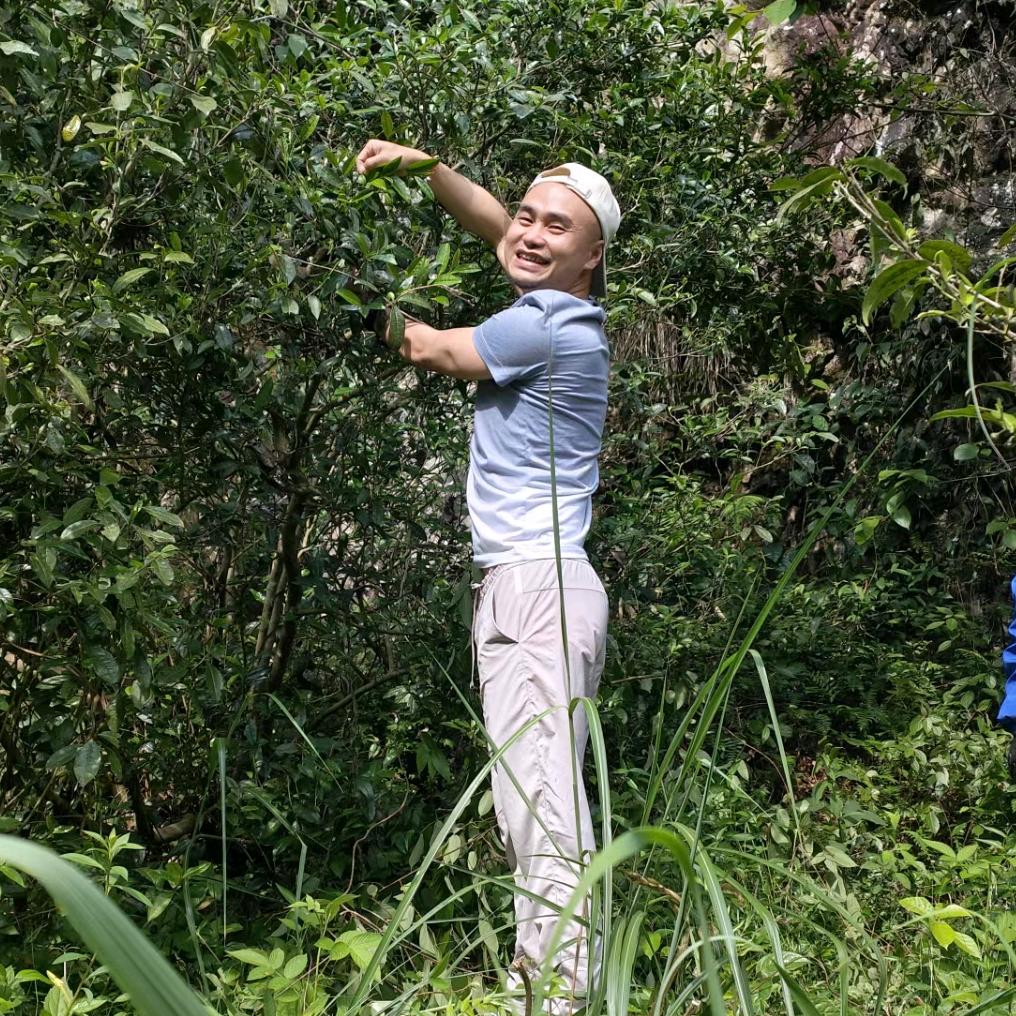 茶农小叶9月30号活动专场