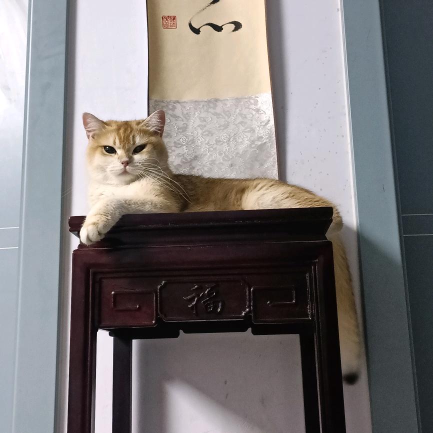 墨语田园爱读书