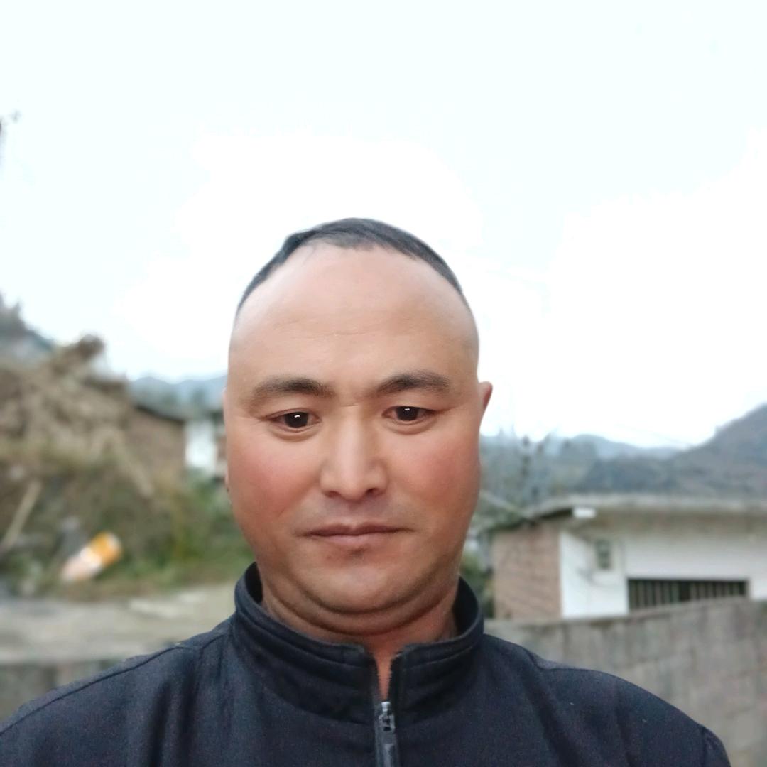 离婚的我单身