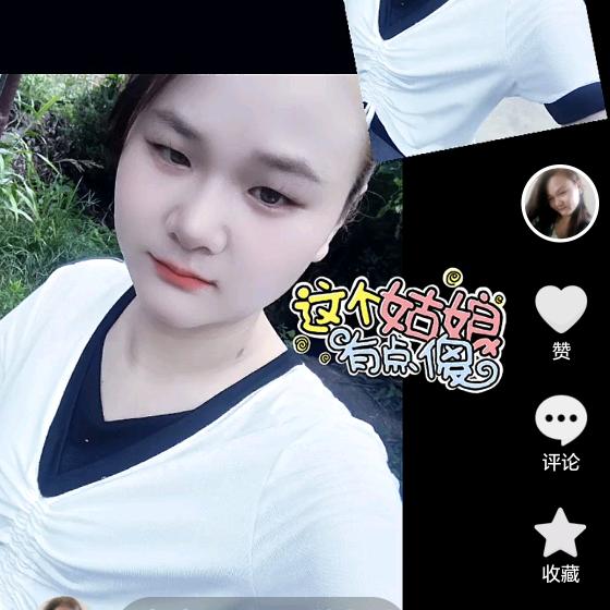 ❤️海鸥❤️❤️❤️❤️