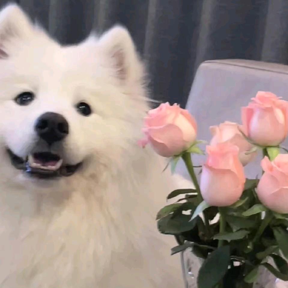 沉迷养生不秃头