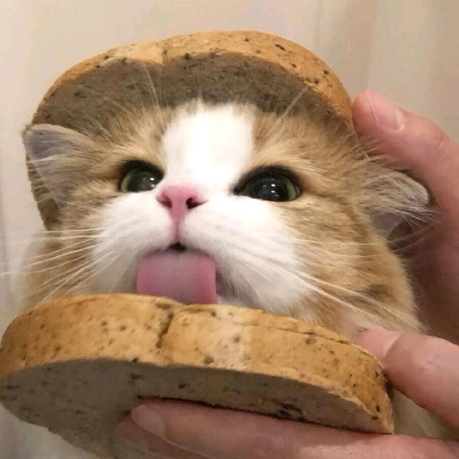 抑郁小鱼饼