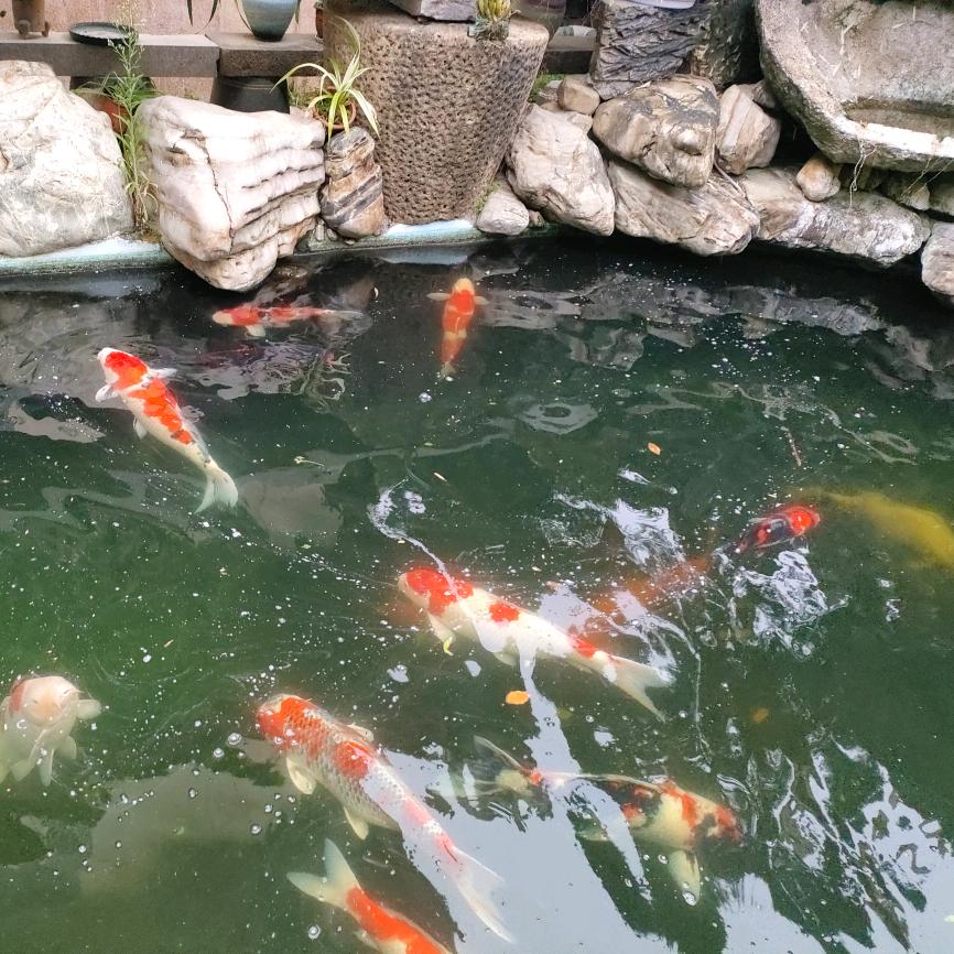 好 运