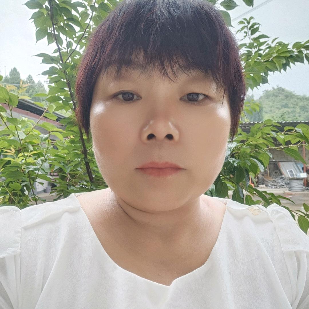 红枫叶（下午4.08）