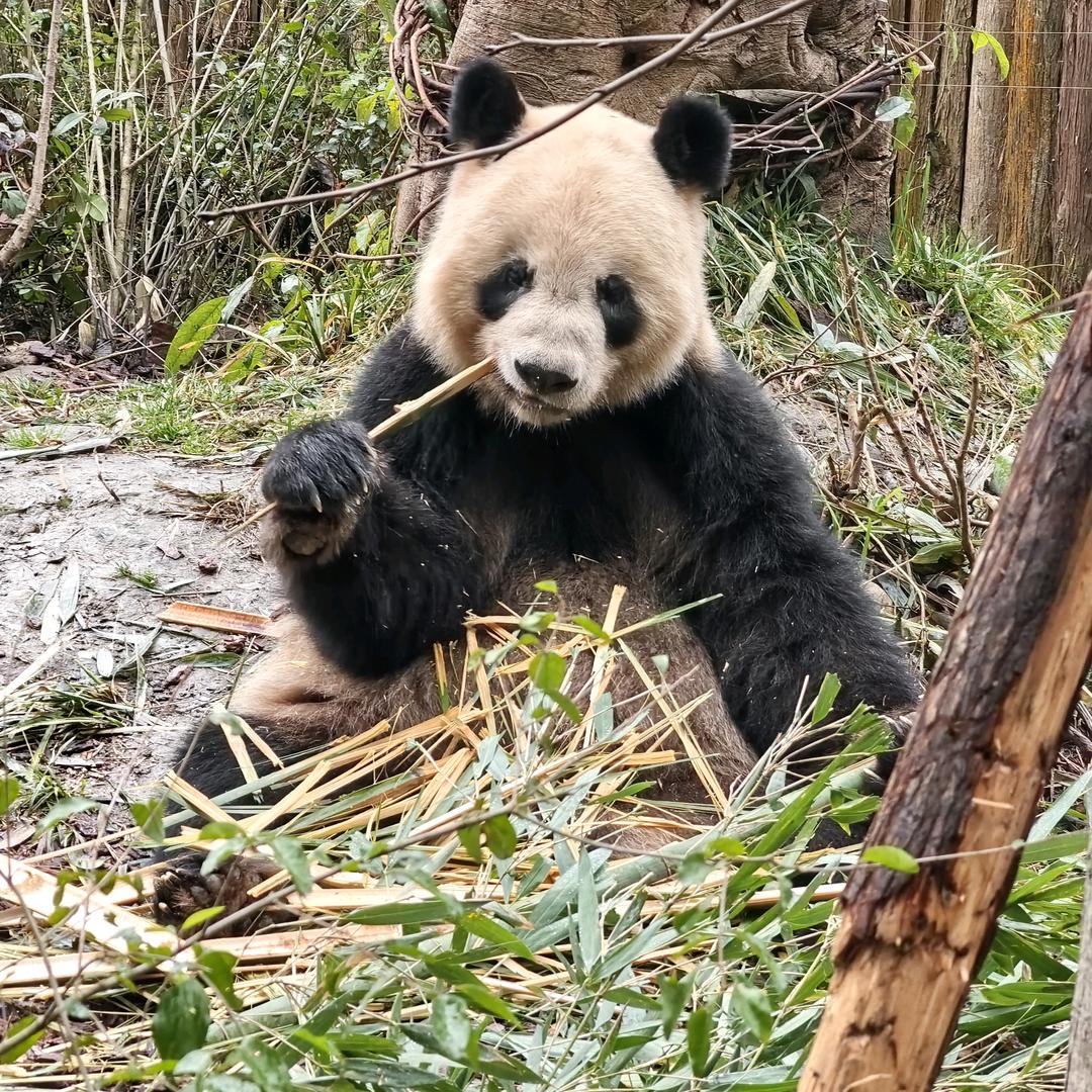 阖家欢乐百货