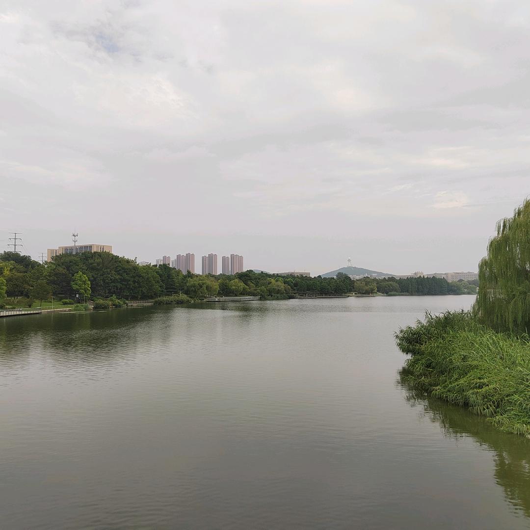 好笑不好像