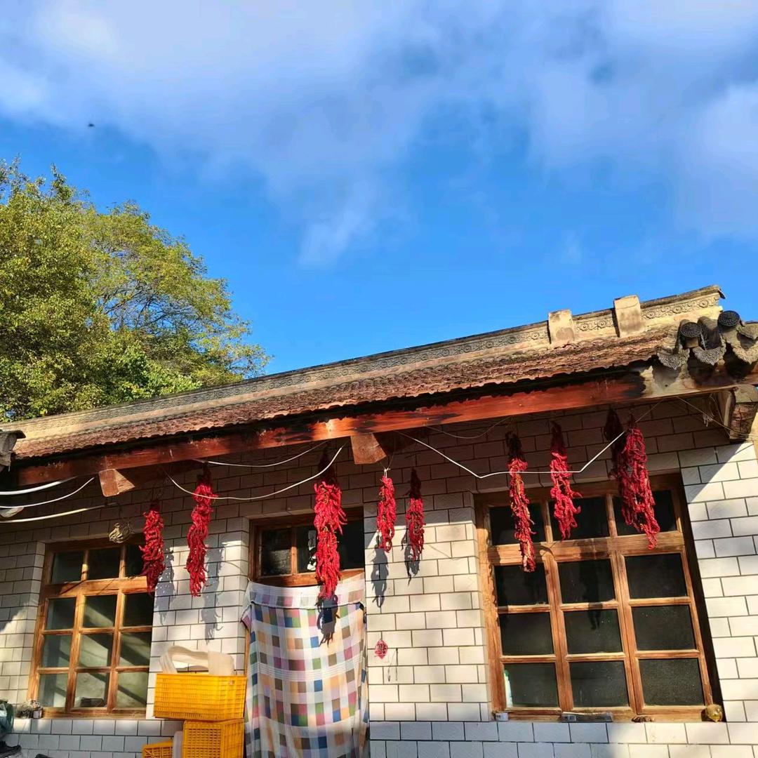 陇上情