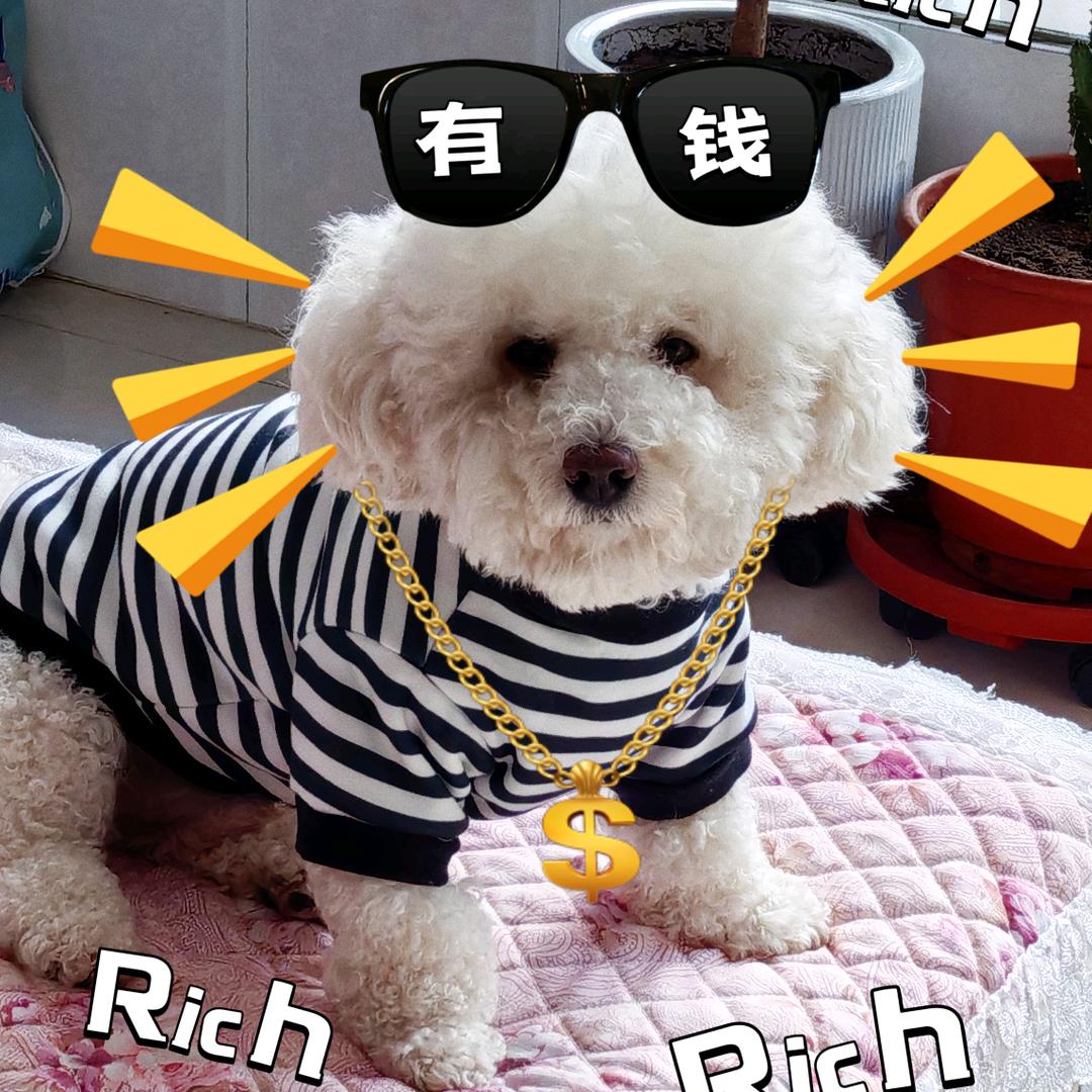 QQ糖【🍬】代画接稿中