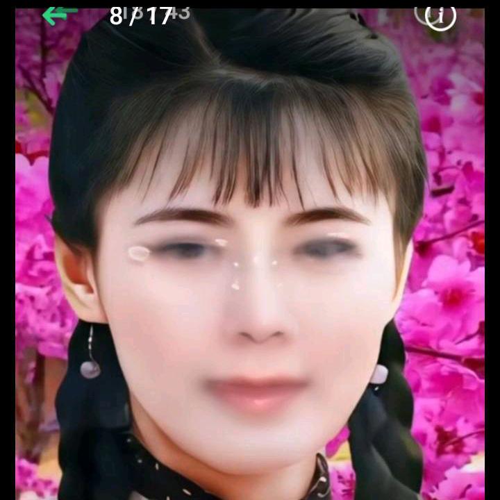 老蒋不老松