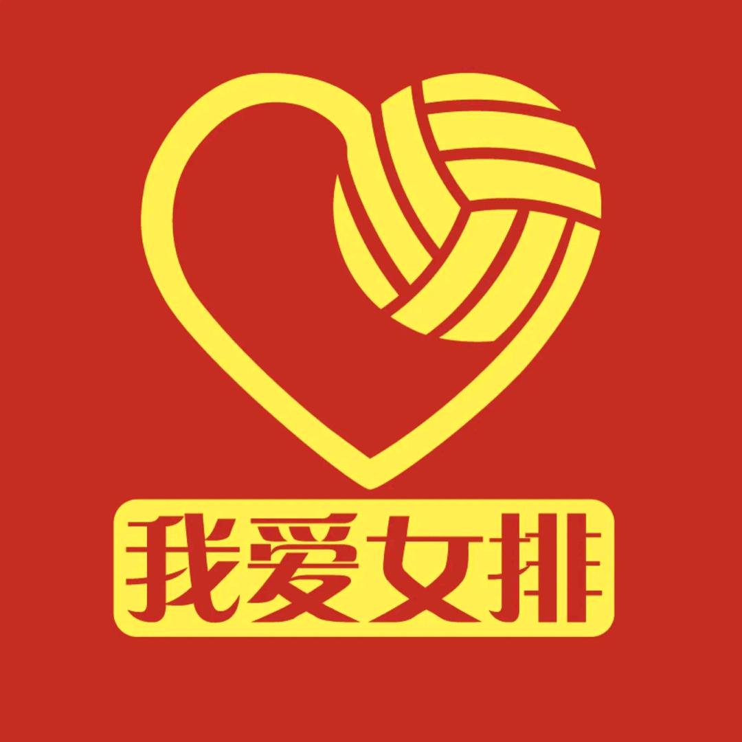 善国排球