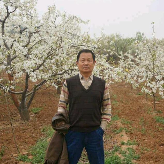 孙波涛