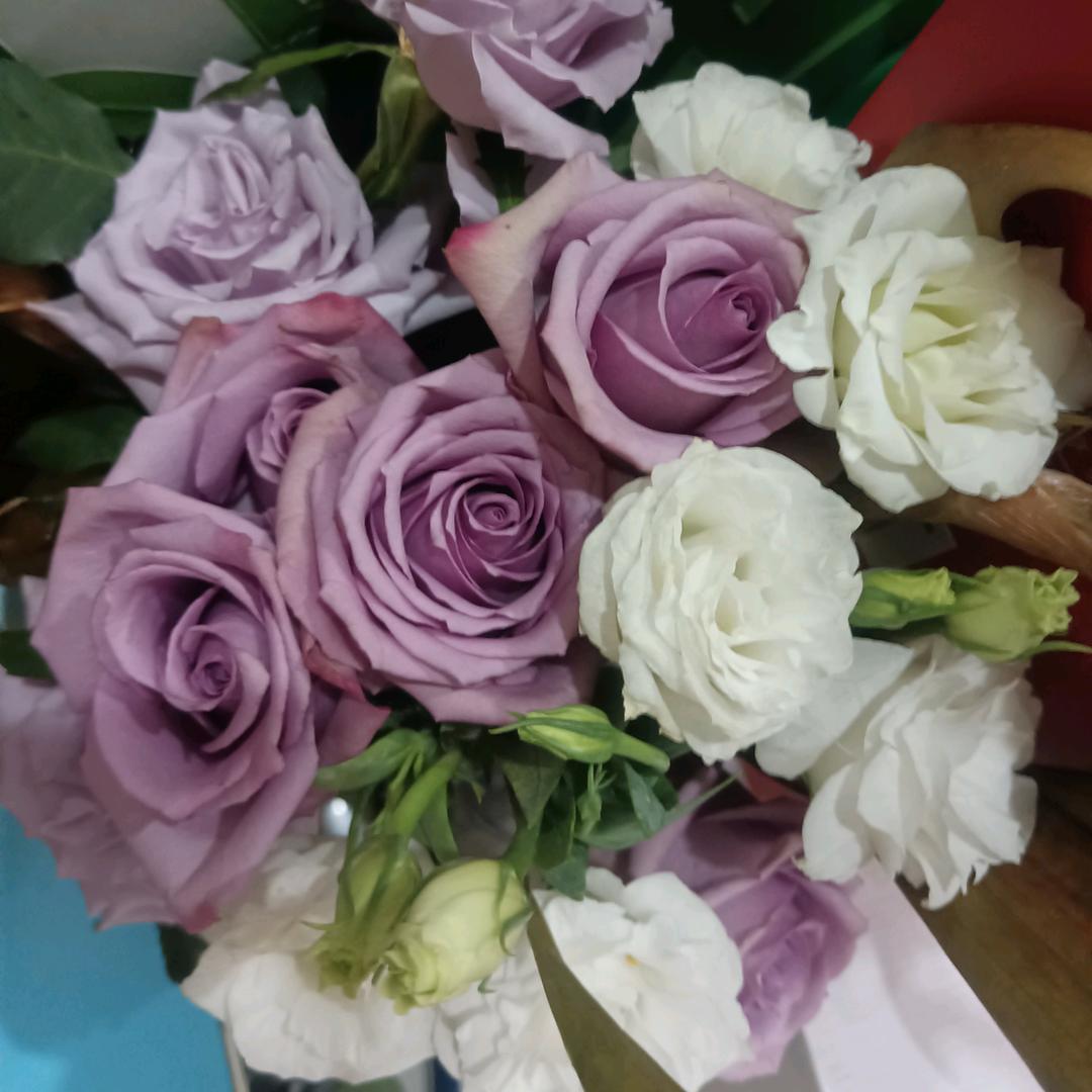 小橙子呀