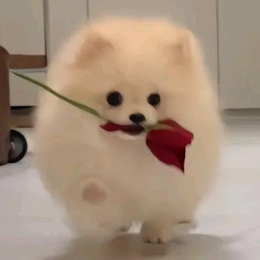 每天都被财神爷追着给钱