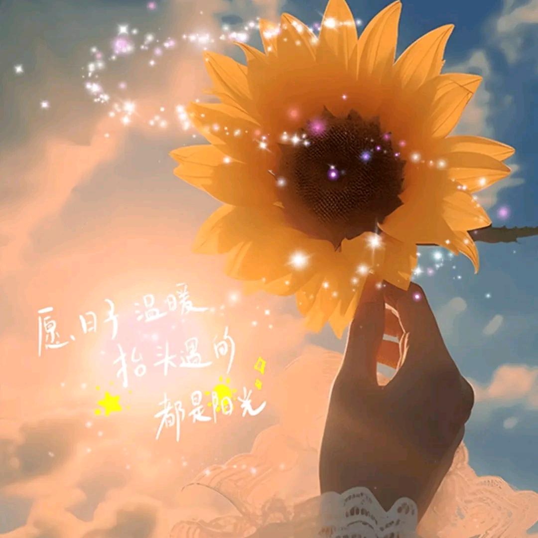 貝貝