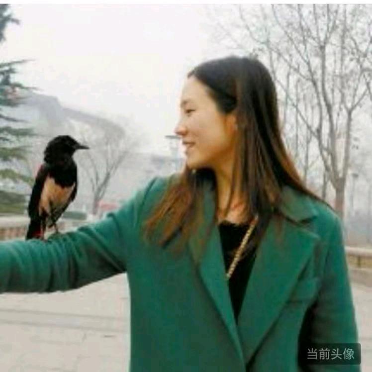 纯颜