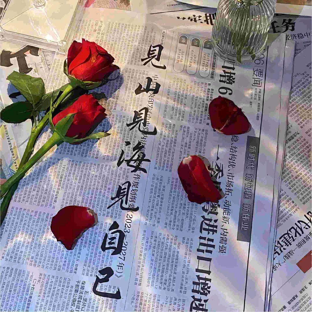 阳光彩虹大白马