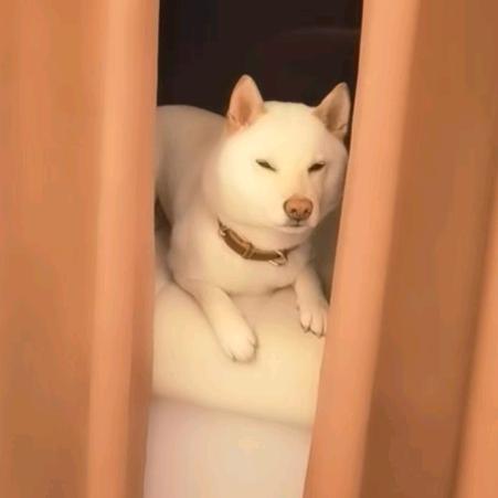 酱心不咸