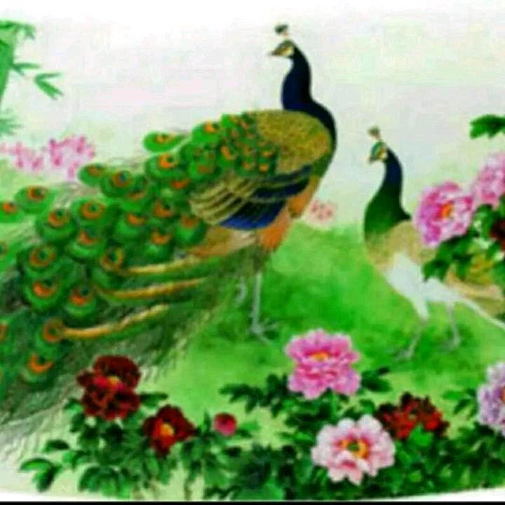 小粉丝1314