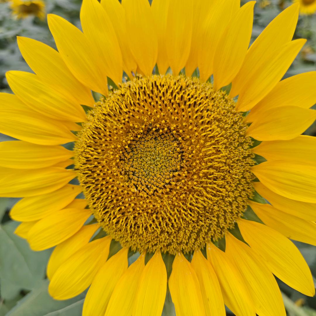 铜川新区家味鲜饺子坊