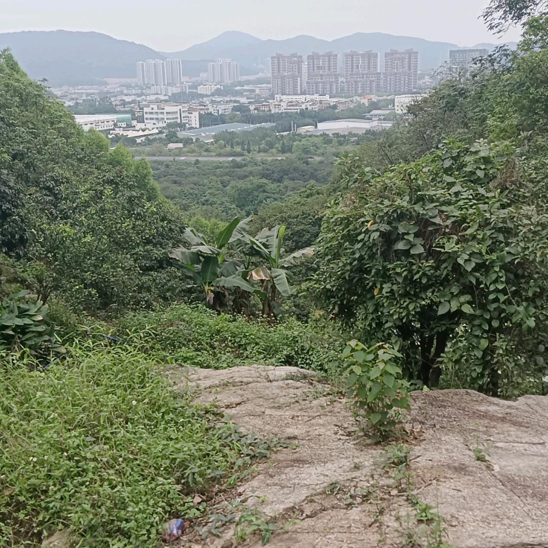 问路人