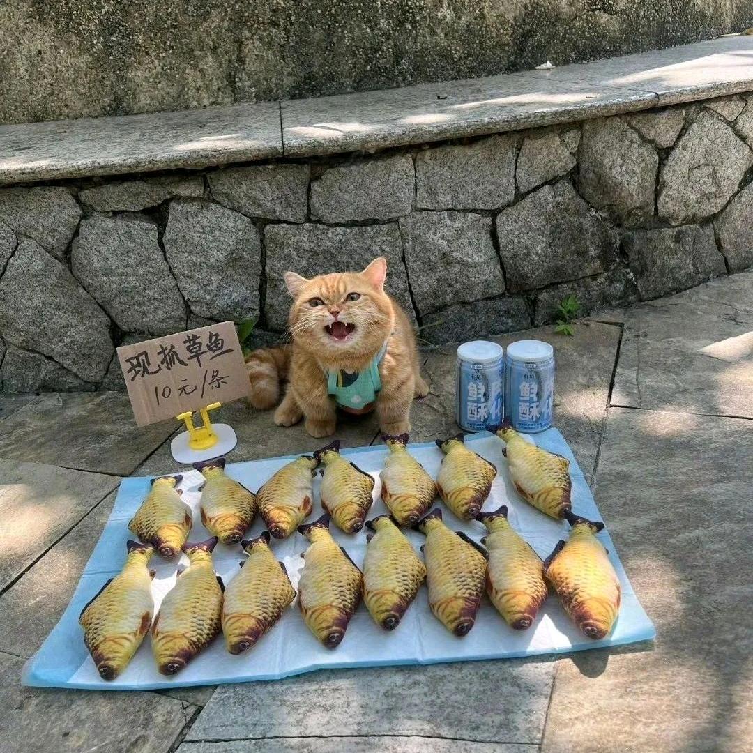 别为我转身头像