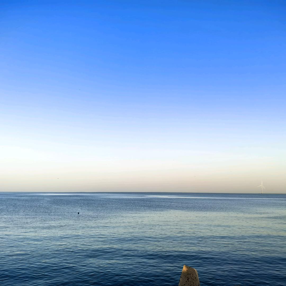 雅芙地毯家具坊