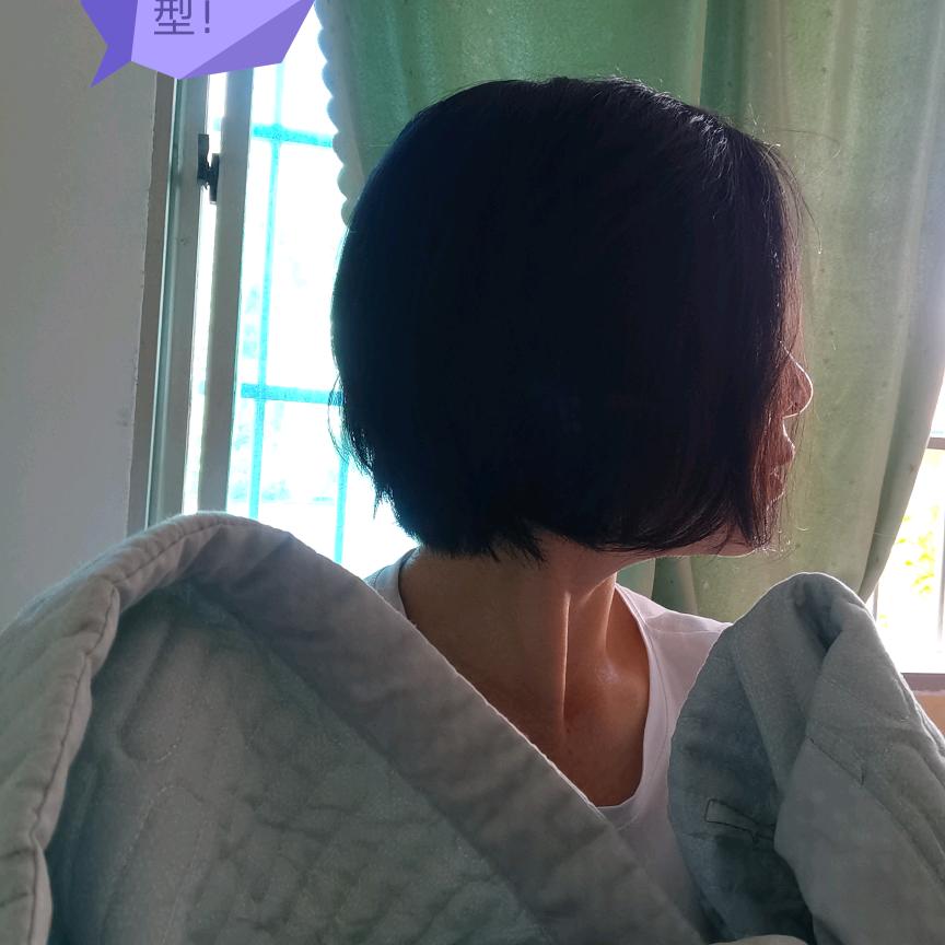 你的世界我曾来过