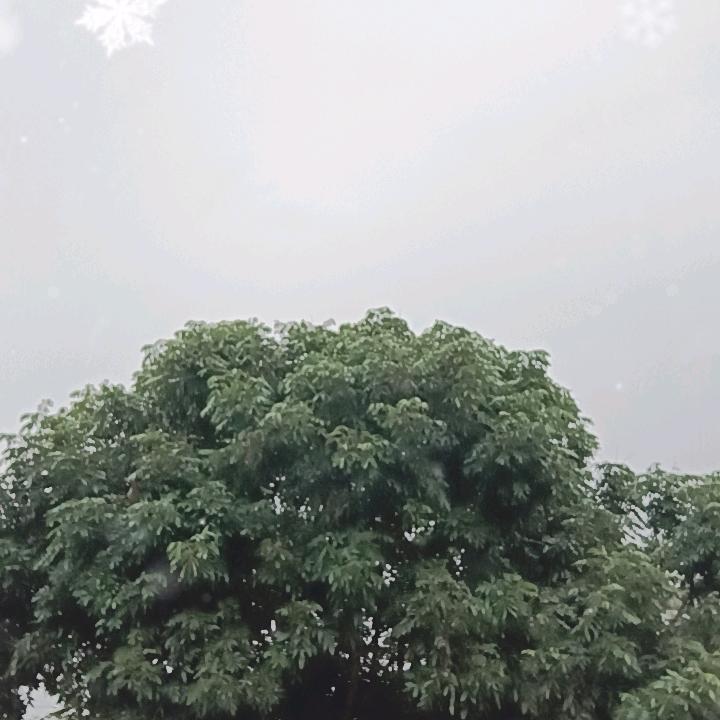 梁家三少