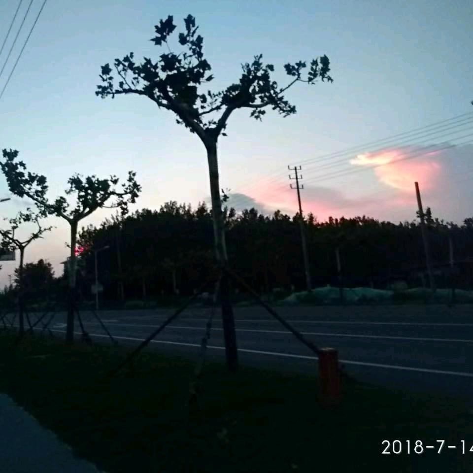 用户2577094450432