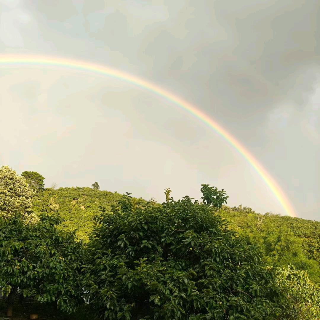 风雨过后见彩虹