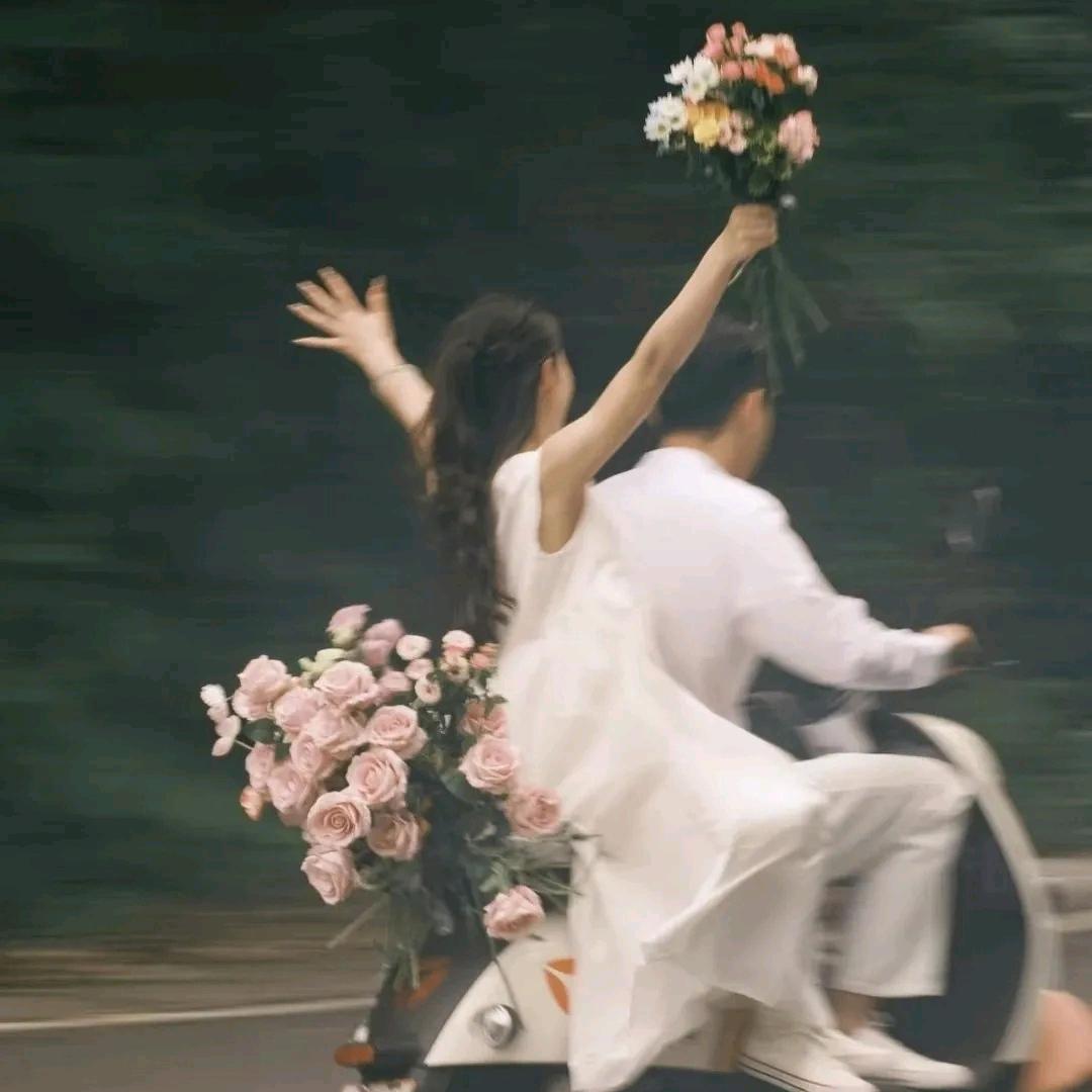 茶花开了