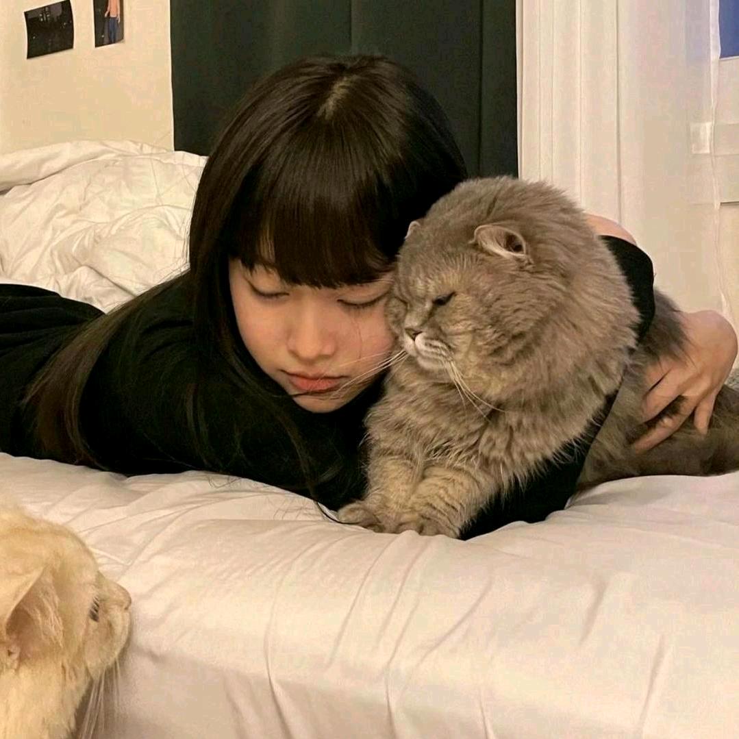炒颗栗