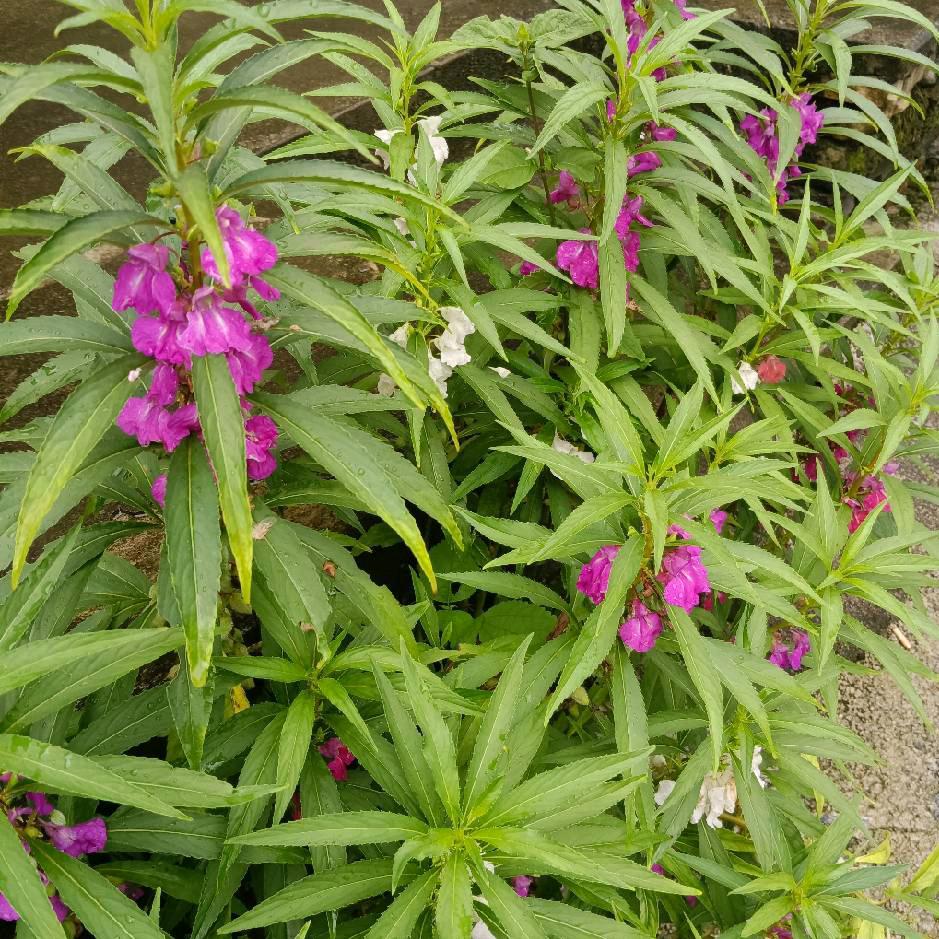 命中注定。